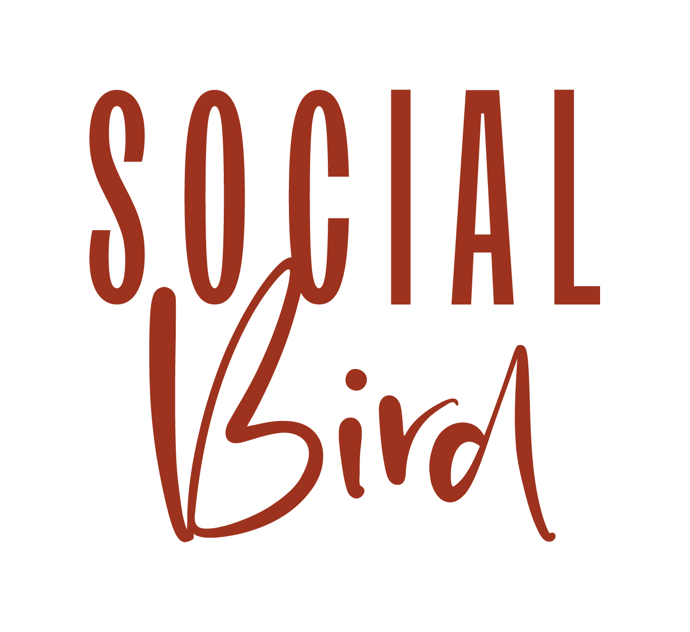 Social Bird Logo